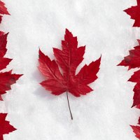 *** Canadian flag...? ***