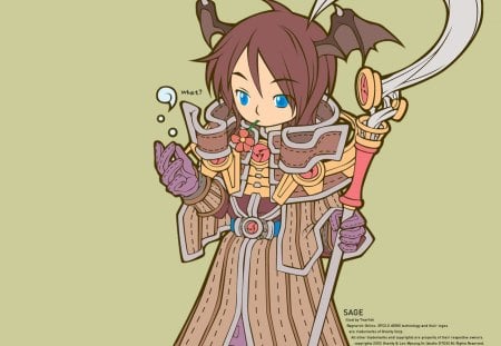 Sage - ragnarok online, mmorpg, game, sage, iro, ragnarok, ro, video game