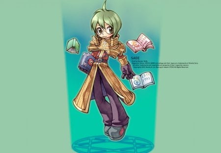 Sage - ragnarok online, mmorpg, game, sage, iro, ragnarok, ro, video game