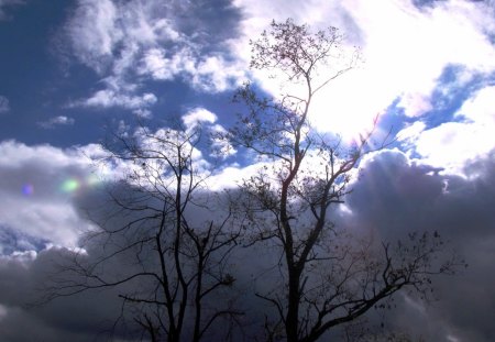 Contradiction - storm, clouds, fall, sunrays, nature, weather, tree