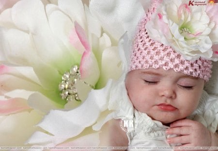 à²ŒSleeping on the petals of flowersà²Œ - sleeping, attractions in dreams, people, photography, baby boy, lovely, creative pre-made, love four seasons, white flowers, most downloaded, pretty, weird things people wear, cute