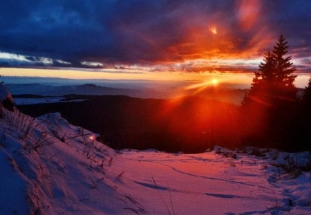 WINTER SUNSET - ice, sky, trees, winter, lakes, snow, sunsets, seasons, horizons