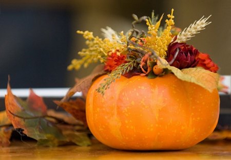 Halloween Still Life - beautiful, lovely, pumpkin, still life, leaves, flowers, fall, autumn, arrangement, halloween