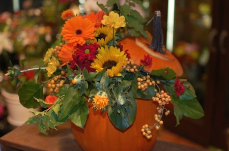 *** Autumn bouquet *** - kwiaty, natura, dynia, bukiety