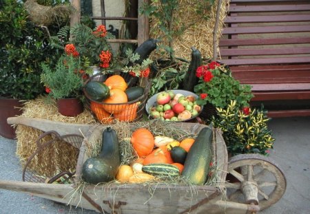 *** Autumn harvest *** - plony, jesienne, zbiory, jesien