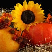 *** Pumpkin and autumn flowers ***