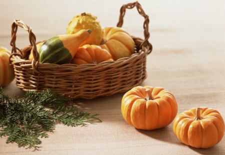 *** Pumpkins in the basket *** - kosz, warzywa, jesien, dynie