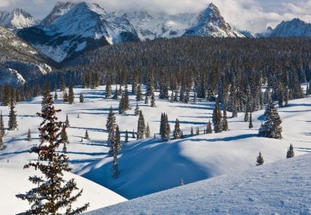 Grenadier Range, Colorado - forest, winter, landscape, daylight, shadow, sky, evergreens, colorado, land, clouds, trees, nature, mountain, day, snow