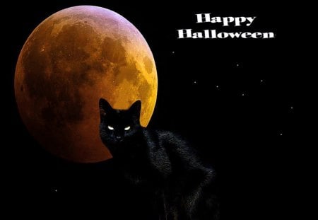 Happy Halloween - moon, halloween, cat, october, night, black