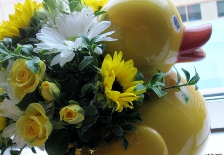 Flowers on my little duck - duck, roses, photography, daisy, white, yellow, red, green, flowers