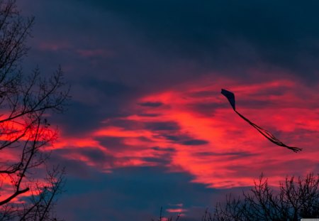 Last Kite Before Winter - kite, winter, last, sunset