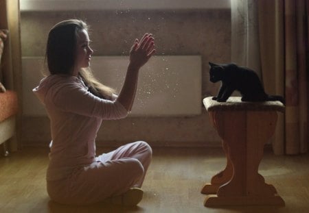 Simple miracle - chair, cat, girl, magic, miracle, simple