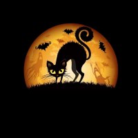Halloween kitty (meaww)