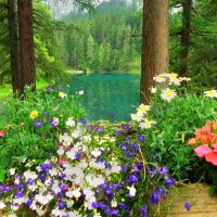 Emerald lake and mountain