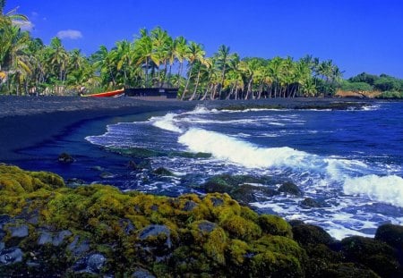 Blue waves - nice, ocean, sky, trees, water, summer, lovely, rocks, coast, waves, nature, blue, beautiful, flowers, sea, boat