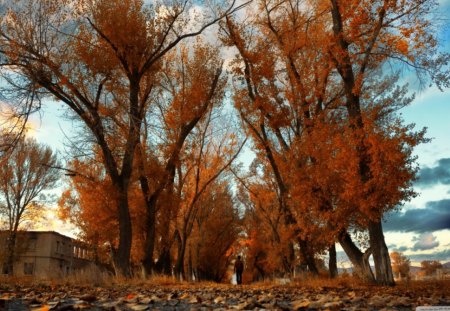 Scenic Armenia - nature, sky, building, autumn, landscape, trees, leaves, armenia