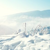 White Winter Landscape