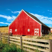 Red house in the countryside