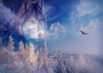 Winter Beauty - abstract, trees, winter, wolf, snow, fantasy, eagle, sky, animals