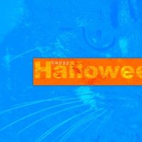 Trick,Or,Treat,Kate,Net,Halloween