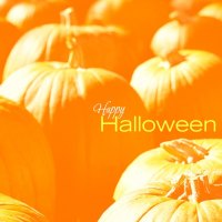 Trick,Or,Treat,Kate,Net,Halloween
