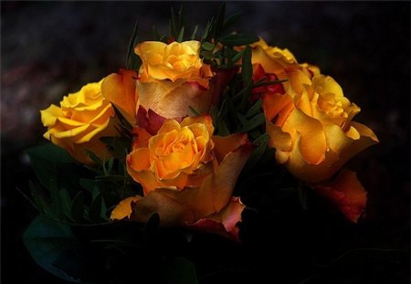 flame - yellow, bud, rose, flame, light, bouquet