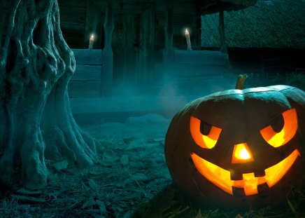 Halloween pumpkin - festival, party, halloween, night, pumpkin, blue, hallowee, pumpkins, tree