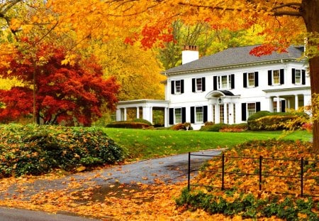 Autumn house - pretty, cabin, alleys, leaves, path, villa, nice, cottage, falling, house, branches, beautiful, lovely, fence, fall, colorful, nature, autumn