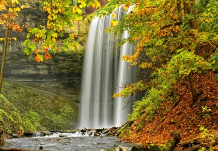 Falls St. Catharines - nice, autumn, trees, stream, colorful, water, waterfall, st catharines, amazing, fall, pretty, falling, lovely, nature, forest, beautiful, leaves