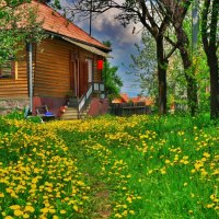 In the backyard