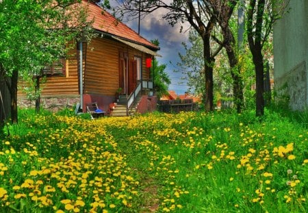 In the backyard - pretty, calm, summer, cabin, grass, meadow, flowers, path, backyard, field, nice, cottage, sky, house, greenery, trees, beautiful, lovely, nature, green, delight, peaceful