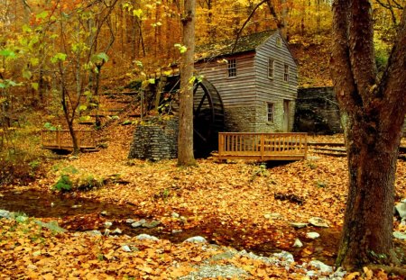 Grist mill - nice, trees, fslling, wooden, mill, lovely, foliage, nature, fall, forest, beautiful, leaves, golden, grist, water mill