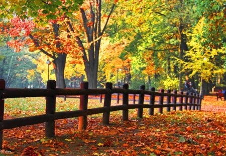 Park in autumn - falling, forest, foliage, beautiful, relax, rest, nature, park, autumn, colorful, fall, pretty, sunny, fence, nice, people, lovely, trees