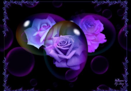 Purple Rose Fantasy - purple, flowers, globes, roses