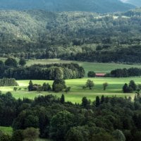 nature in the green fields