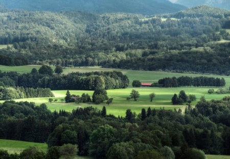 nature in the green fields - nature, fields, green, landscape