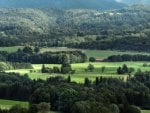 nature in the green fields