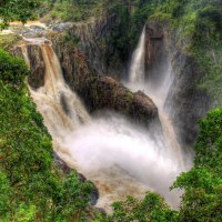 waterfall in green forest