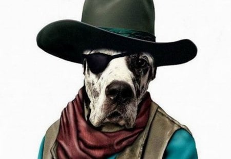 JOHN WAYNE IMPERSONATER - animal, abstract, funny, dog