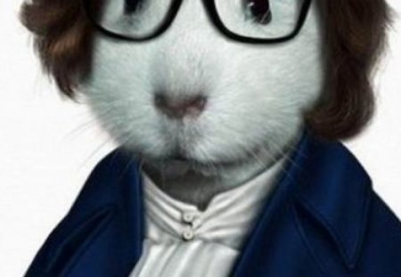 AUSTIN POWERS IMPERSONATER - animal, abstract, funny, rat