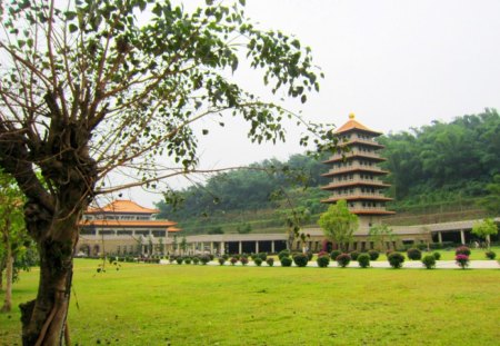 Pagoda - lawn, scenery, pagoda, tree