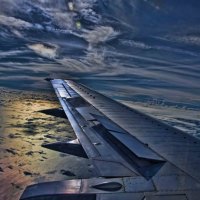 Wing Tip