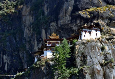 bhutan monastery - cliffs, trees, mountain, monastery