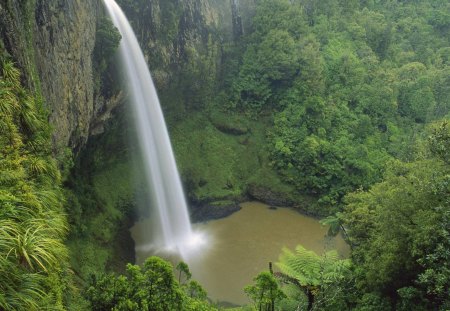 bridal veil waterfalls new zealand - waterfalls, pool, trees, cliff