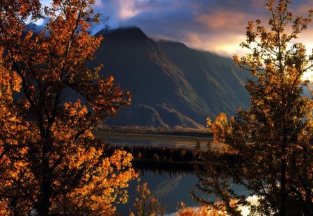 red mountain with trees in autumn - trees, with, autumn, red, mountain