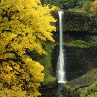 waterfall in autumn in the forest