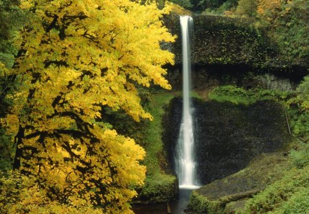 waterfall in autumn in the forest - autumn, forest, waterfall