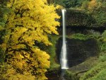 waterfall in autumn in the forest