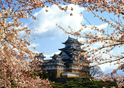 himeji-castle-himeji-japan - japan, himeji, castle