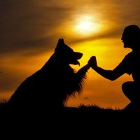 Be my dogfriend!